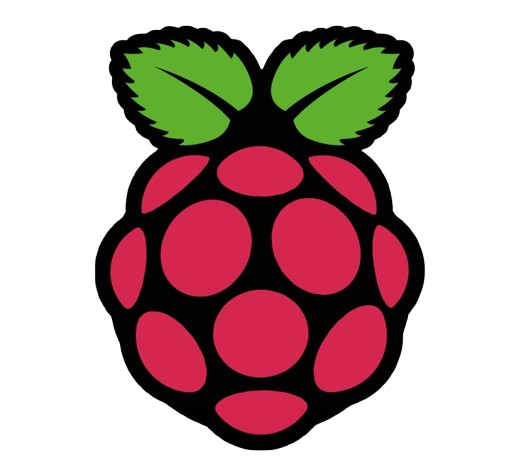 Raspberry Pi Icon